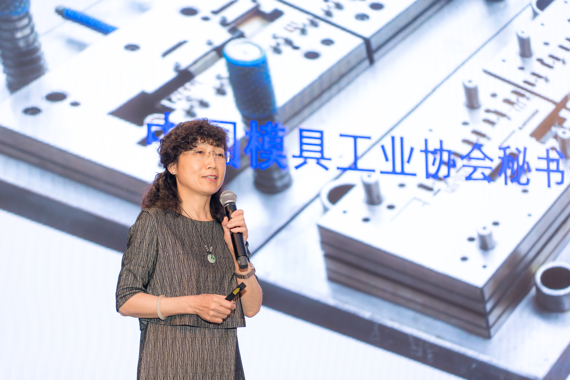 模具研討|“智造”落地，思瑞三坐標助力“數字北侖”建設(圖2)